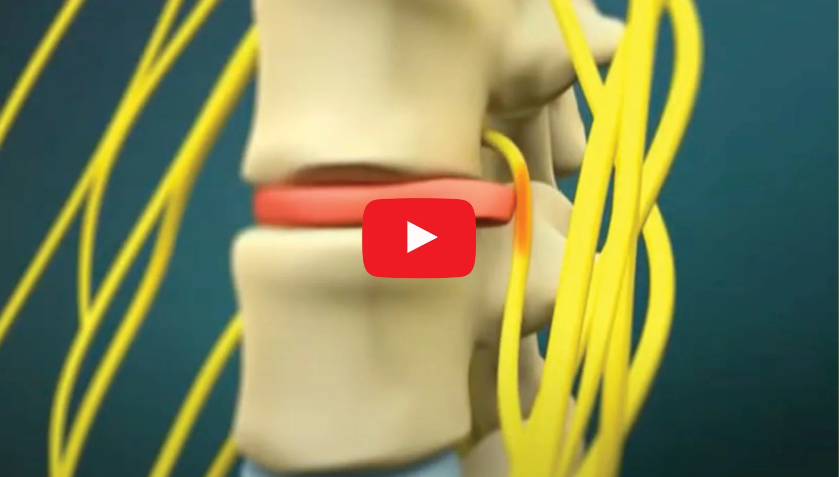 Health Guide Video